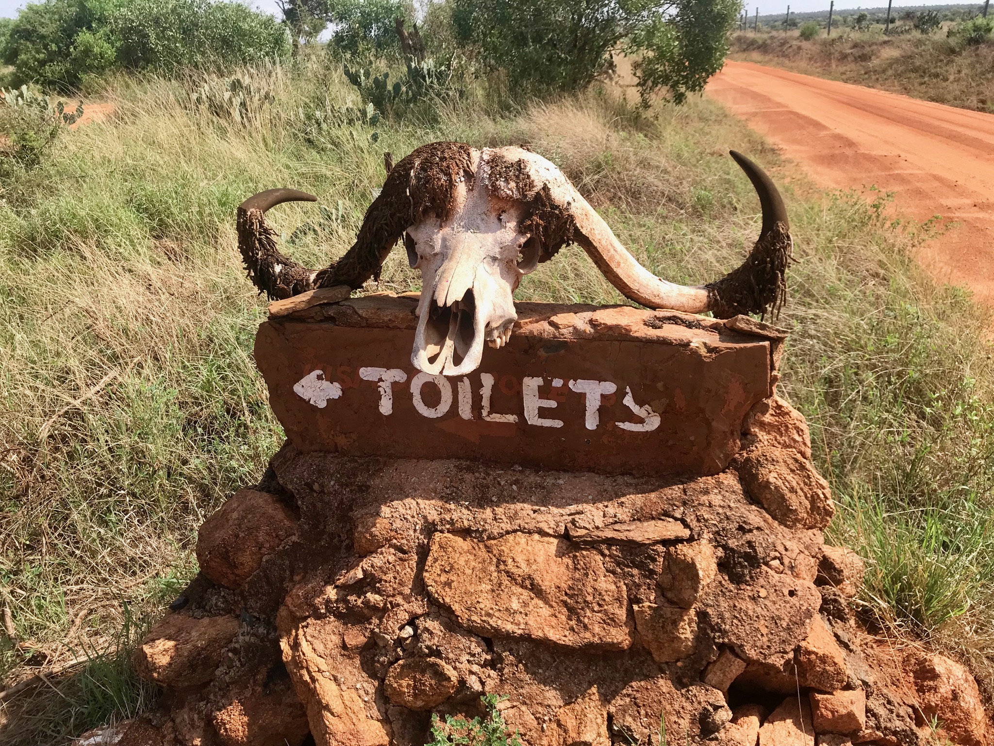 Wegweiser mit Büffelschädel im Tsavo